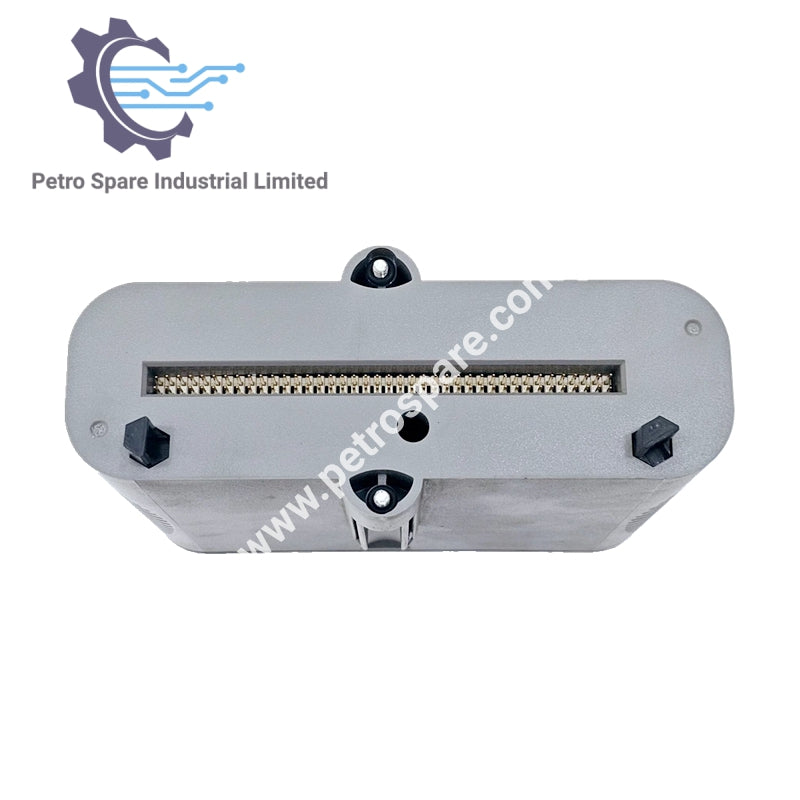 Input Analog 8C-PAINA1 Honeywell Single Ended, Berlapis