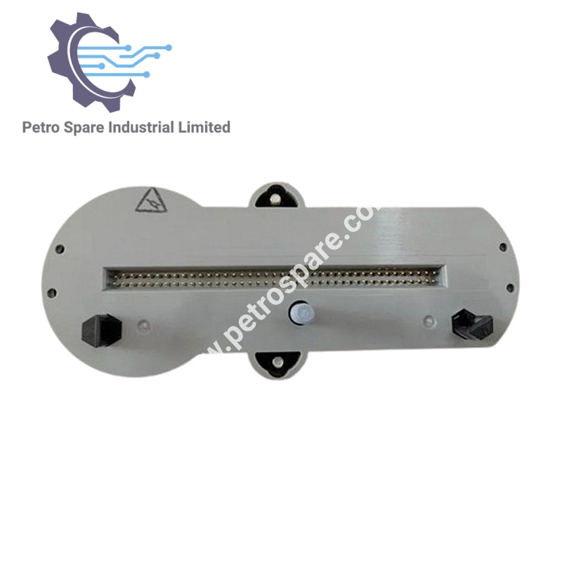 Analoq Giriş CC-PAIN01 Honeywell 51410069-175