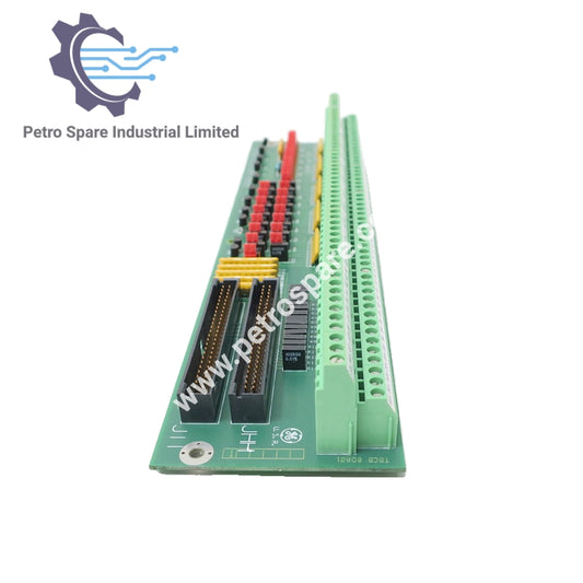 Modul Penamatan Input RTD GE Mark V DS200TBCBG1AAA