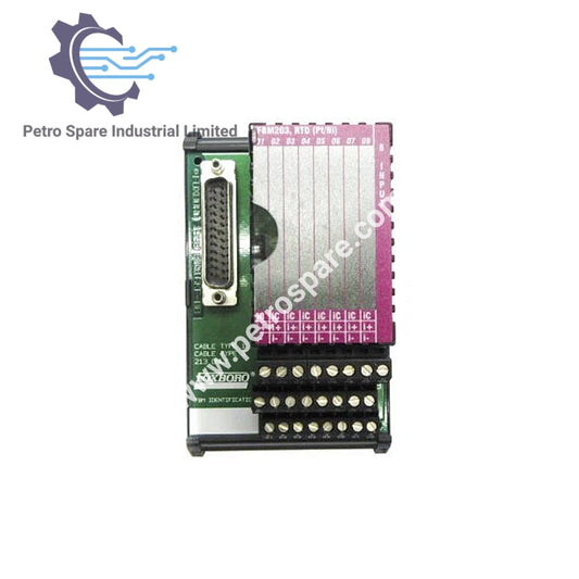 FBM203 P0916AE | Foxboro - Modul Input RTD