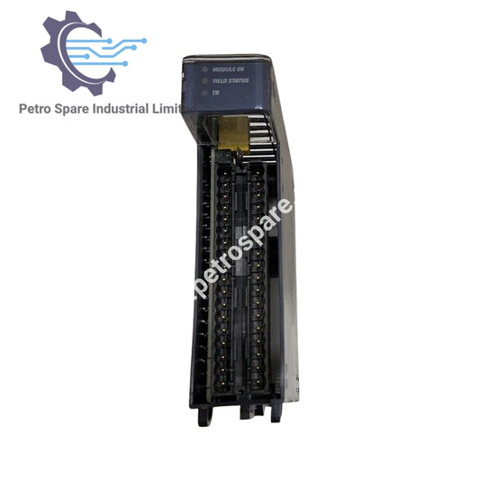 IC695ALG616-BA GE Fanuc İzolyasiyasız Analoq Giriş Modulu