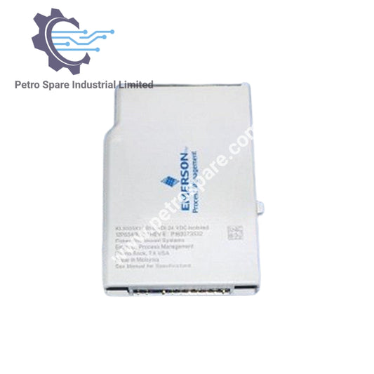 KL3005X1-LS1 - Emerson - LS DI 24 VDC Isolated CHARM