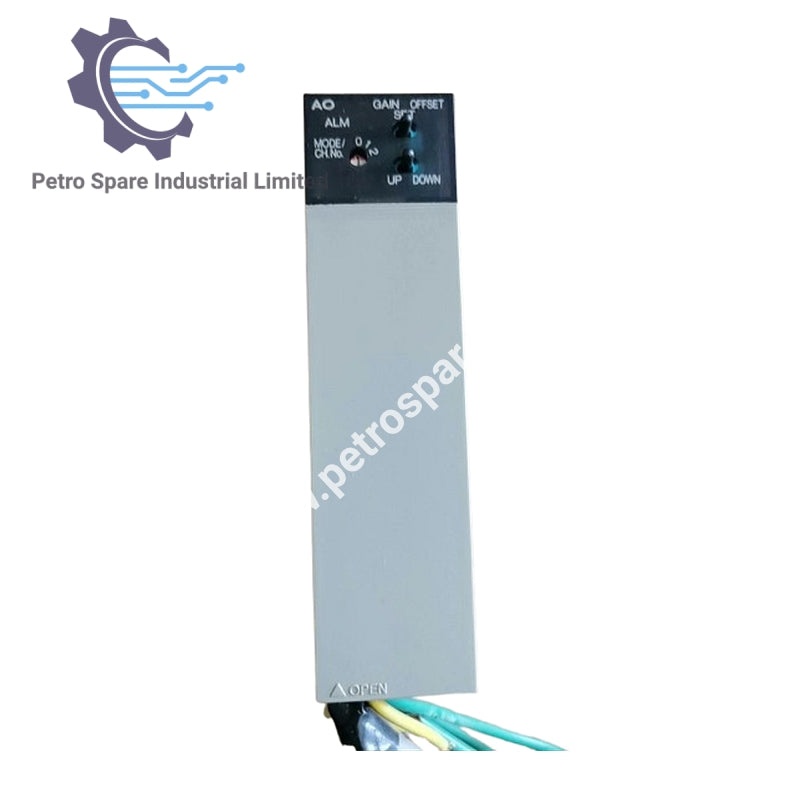 Fuji Electric NC1AY02-MR Multi-Range Analog Output, 2 Ch