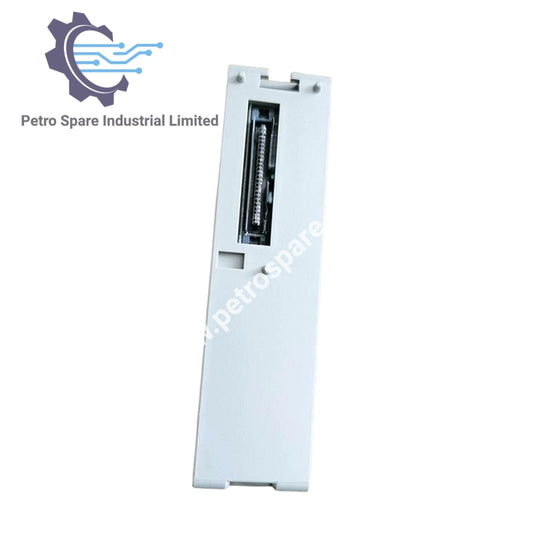 Fuji Electric NC1AY02-MR Multi-Range Analog Output, 2 Ch