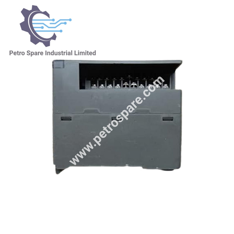 NP1AYH2-MR - Fuji Electric Analoq Çıxış Modulu 24V DC 120mA və ya az