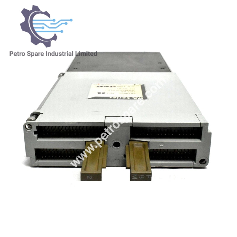 Foxboro FBM02 Termokupl/mV Giriş İnterfeys Modulu P0400YC