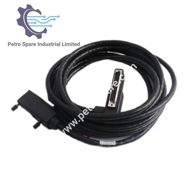 RH928AW | Foxboro | Kabel Terminasi (Menggantikan P0928AW)