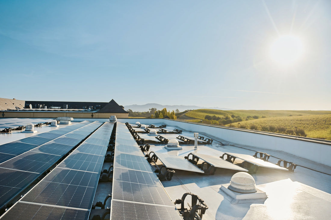 Domaine Carneros: Powering Sustainability and Resilience with a Cutting-Edge Microgrid