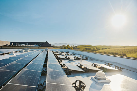 Domaine Carneros: Powering Sustainability and Resilience with a Cutting-Edge Microgrid