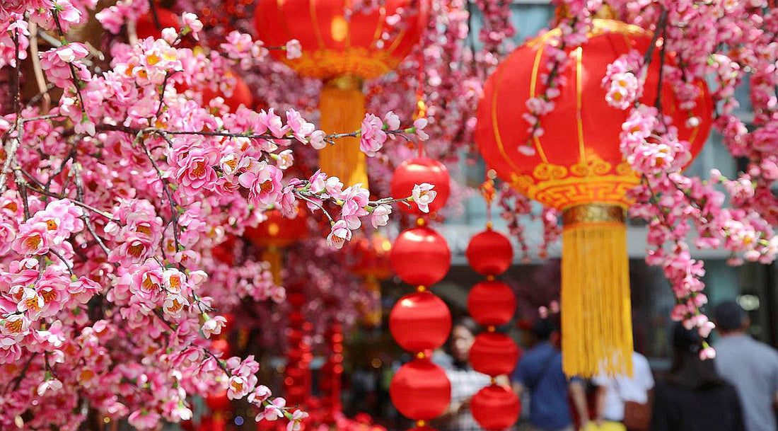 Spring Festival Holiday Notice