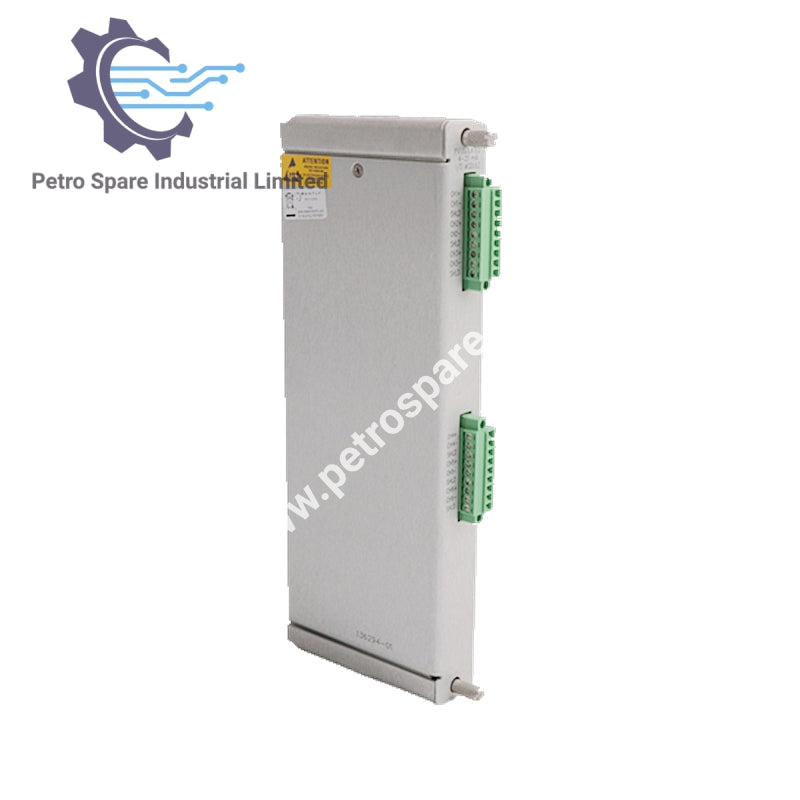 Bently Nevada 136294-01 | Izolovani +4 do +20 mA I/O modul