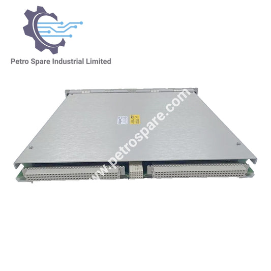 Modul Antarmuka Data Transien Standar Bently Nevada 138607-01