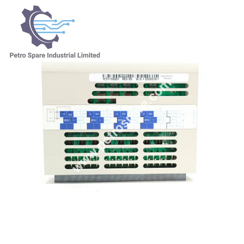 Ovation 1C31116G01 Emerson Analog Input Module,Personality Module