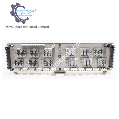 1C31222G01 | Emerson Ovation | Módulo Base de Salida de Relé de Alta Potencia