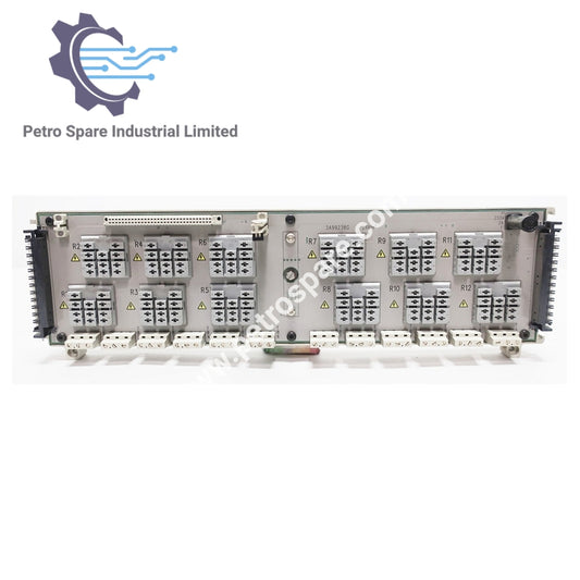 1C31222G01 | Emerson Ovation | Modul Asas Output Relay Kuasa Tinggi
