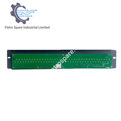 Carte terminale AEA4D-06 pour analogique - Yokogawa
