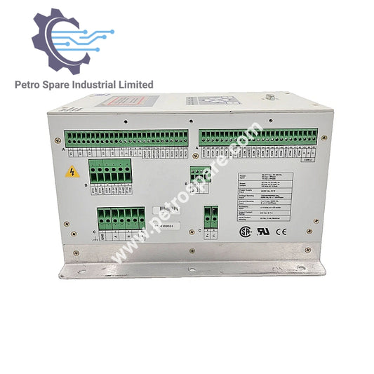 DECS-200-1L Basler Electric Digitale Eksitasiebeheerstelsel