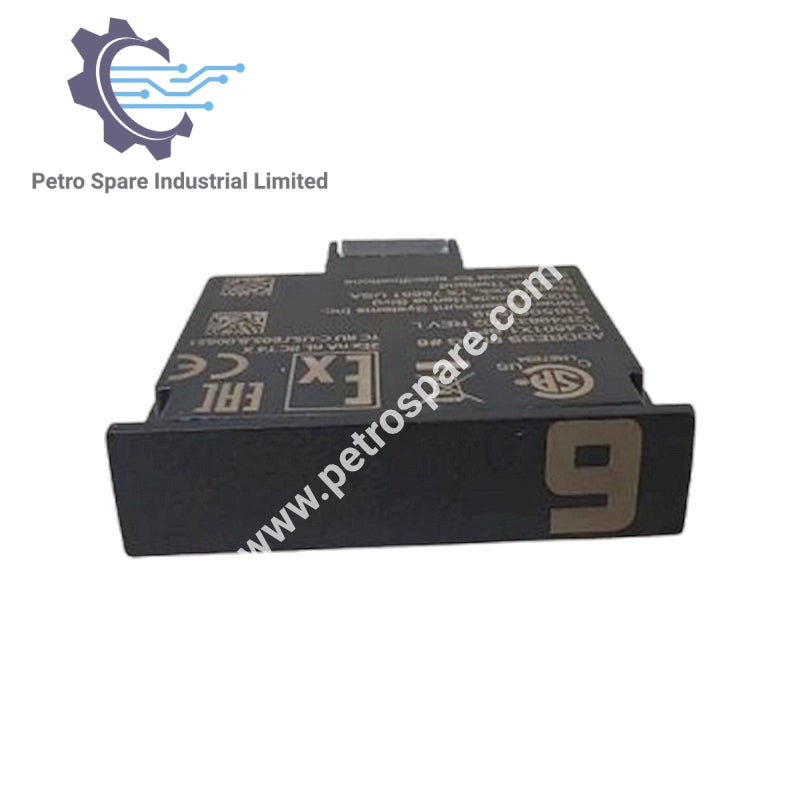 KL4501X1-BF1 Emerson Fisher Rosemount Plugue de Endereço CHARM