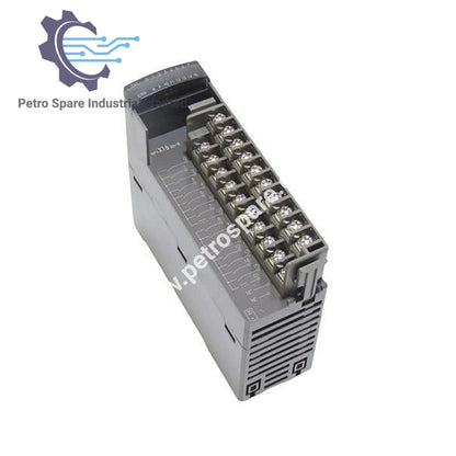 Fuji Electric | NP1X1606-W - Rəqəmsal Giriş 24V DC 16 Nöqtə
