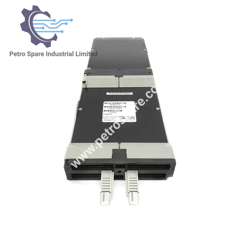 Módulo de Interface de Entrada RTD FBM03 P0400YD | Foxboro