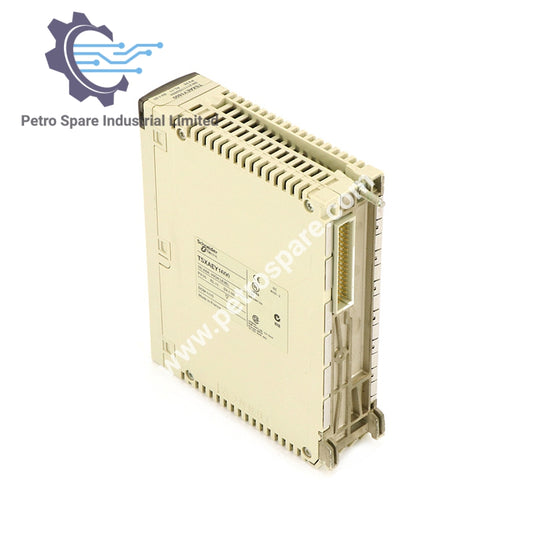Schneider TSXAEY1600 16 Giriş, Analoq Giriş Modulu